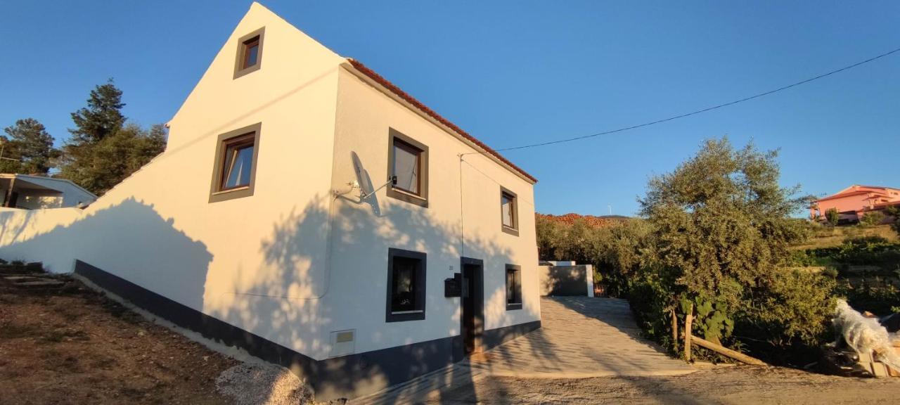 Pomar Das Oliveiras - Private Swimming Pool - Free Ev Chrg - Pet Friendly Carvalhal  Exteriér fotografie