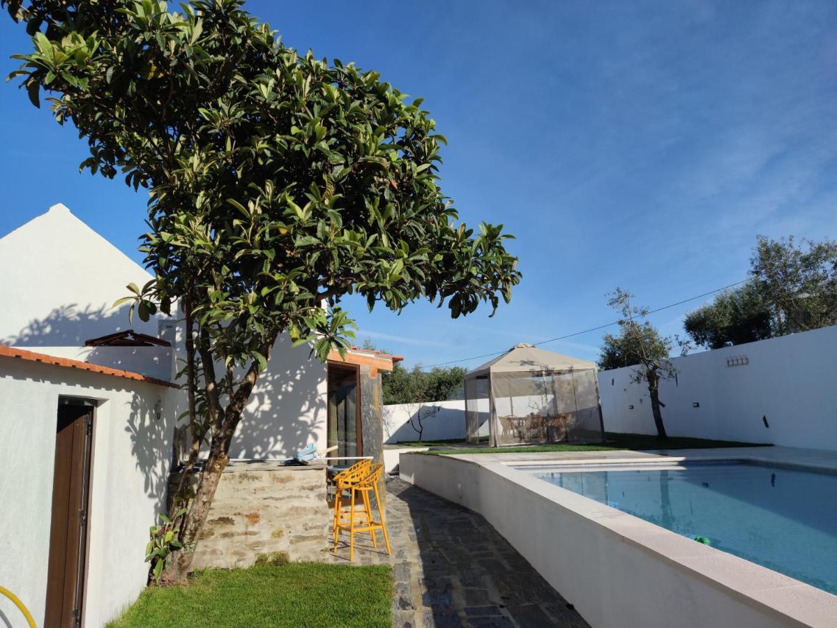 Pomar Das Oliveiras - Private Swimming Pool - Free Ev Chrg - Pet Friendly Carvalhal  Exteriér fotografie