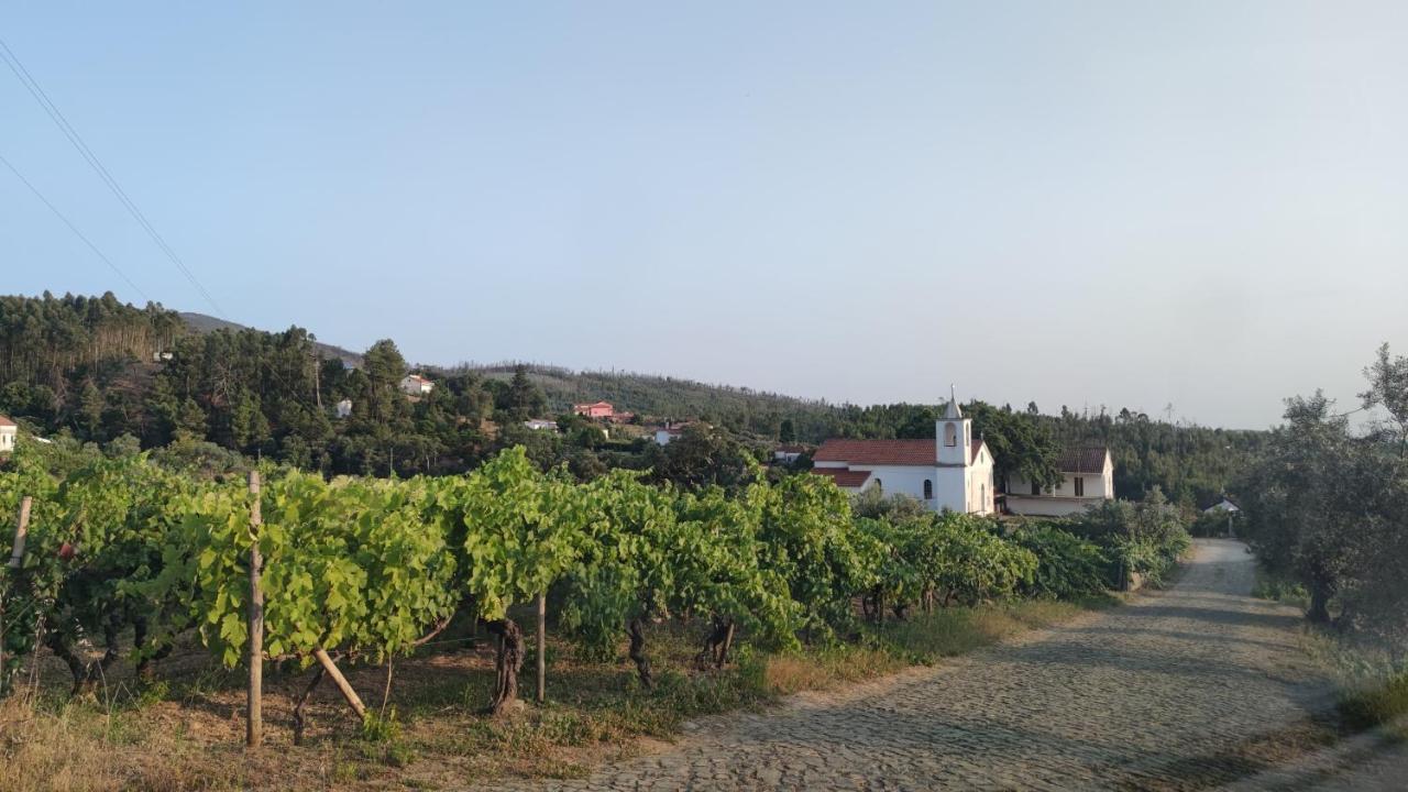 Pomar Das Oliveiras - Private Swimming Pool - Free Ev Chrg - Pet Friendly Carvalhal  Exteriér fotografie