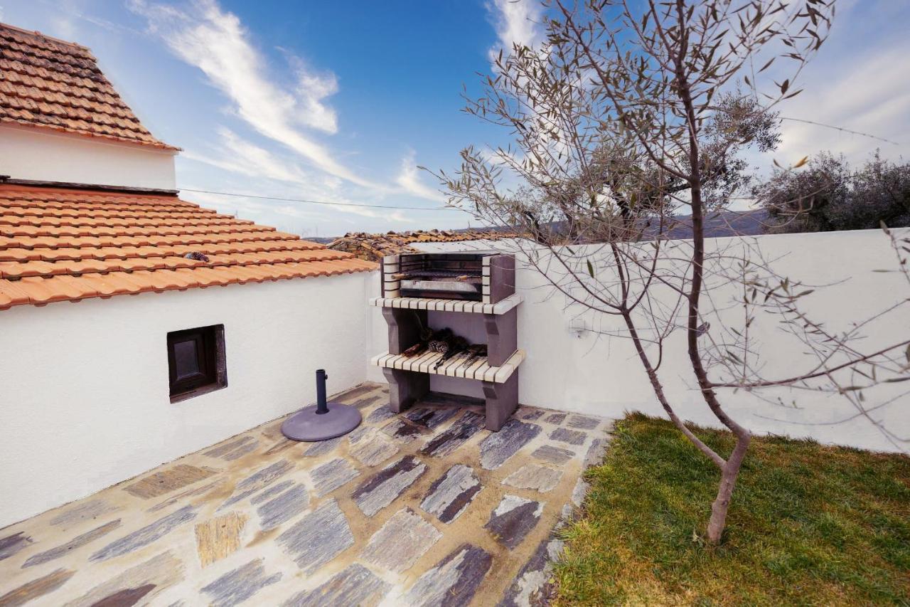 Pomar Das Oliveiras - Private Swimming Pool - Free Ev Chrg - Pet Friendly Carvalhal  Exteriér fotografie